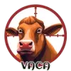 Vaca
