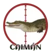Caiman
