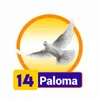 Paloma