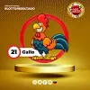 Gallo